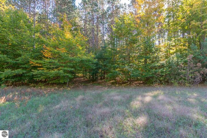 Property Photo: 0000 W Darga Road MI 49621