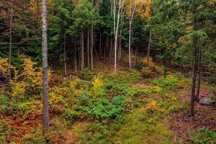 Property Photo:  0 Grimes Hill Road  NH 03777 