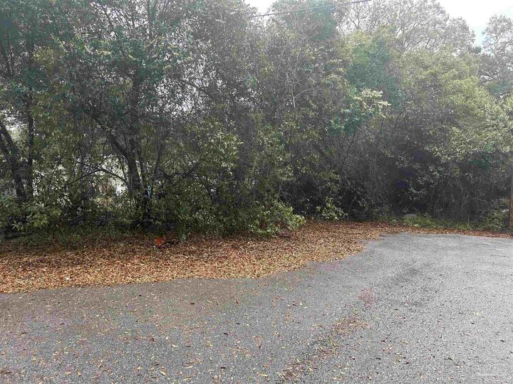 Property Photo: Lot 11, Blk 3 McConnell St AL 36426