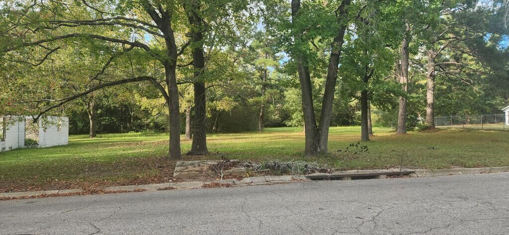 Property Photo: 317 E Spring 0 E Spring Street AL 36303