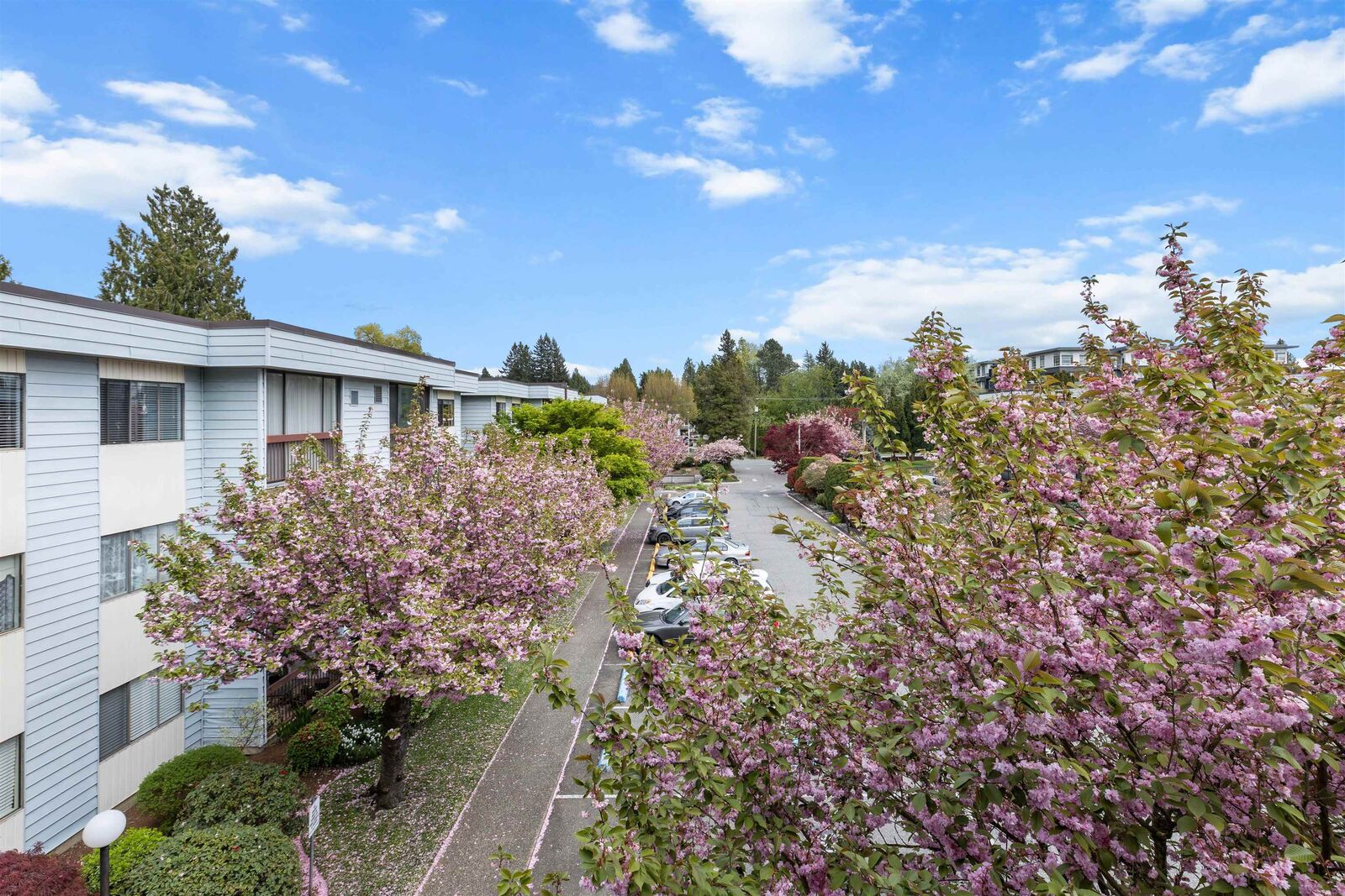 Property Photo:  2279 McCallum Road 307  BC V2S 3N7 