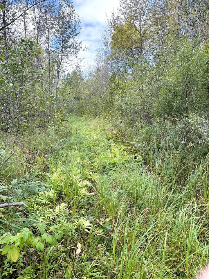 Property Photo:  Tbd Easement Trail  MN 55707 