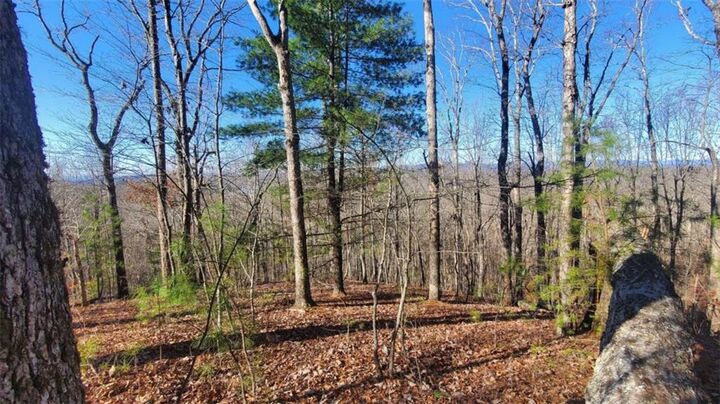 Property Photo:  Lt 171 Doll Mountain Road  GA 30540 