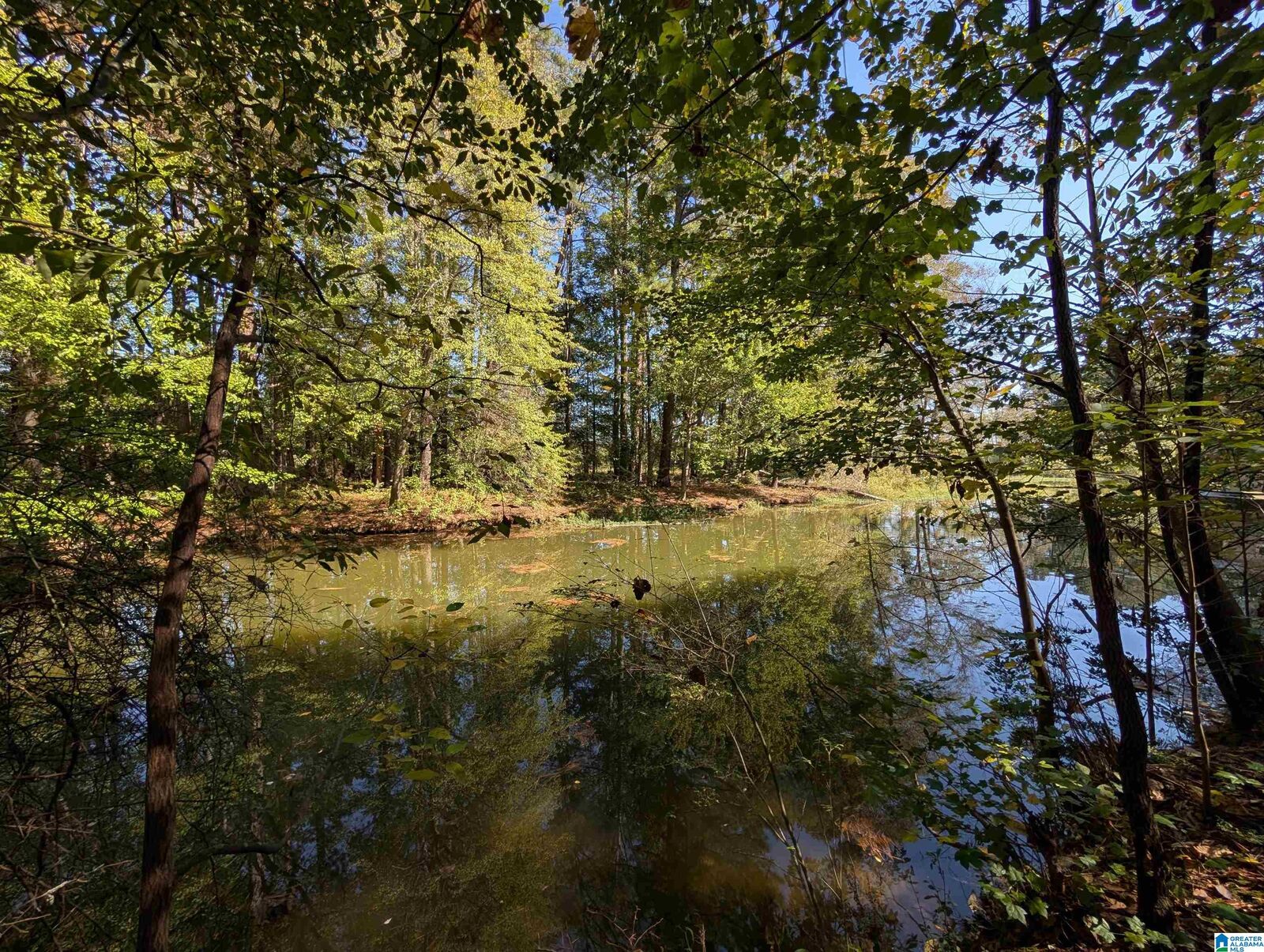 Property Photo:  0 Riverchase Drive 0  AL 35901 