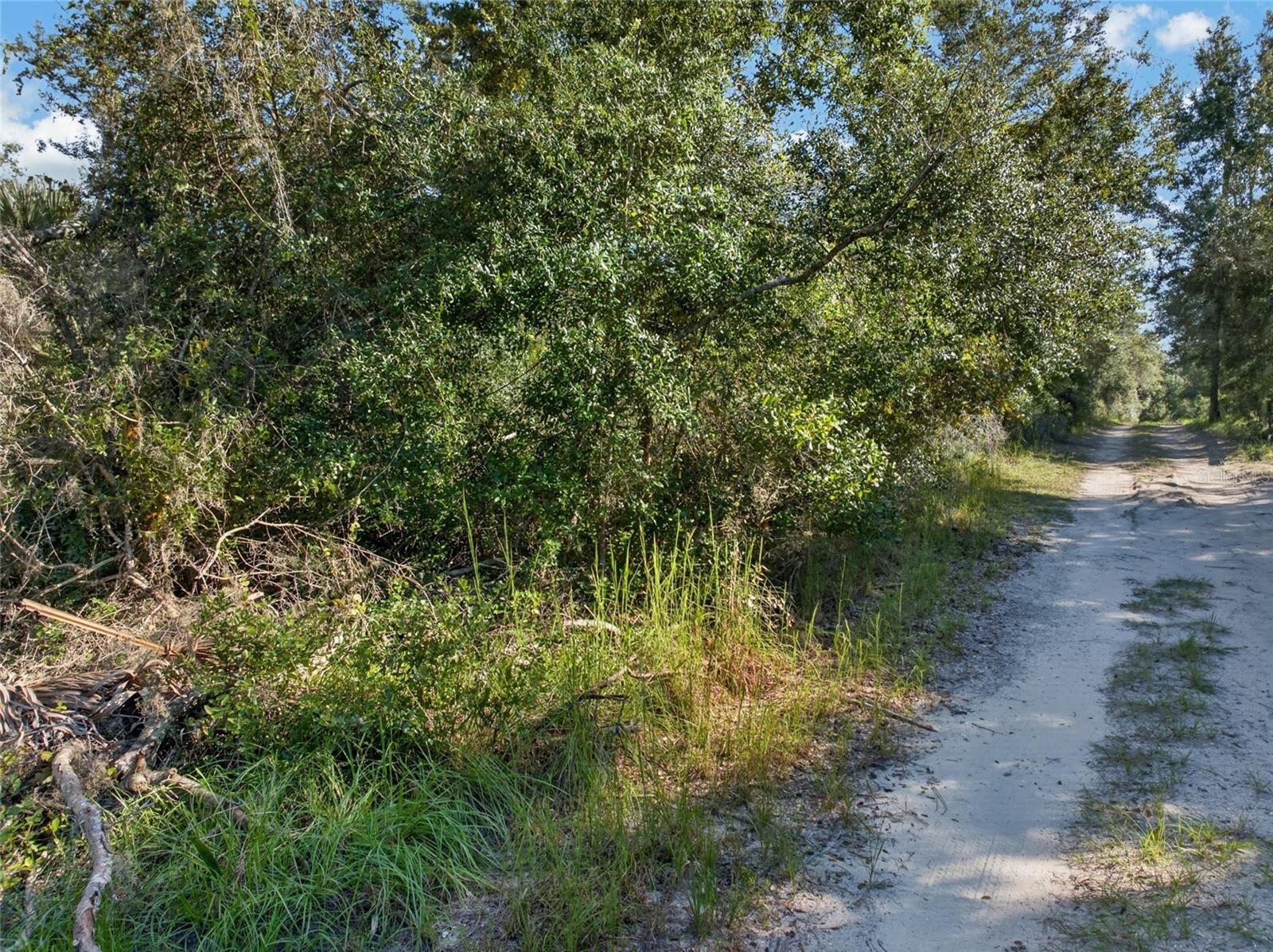 Property Photo:  431 Wilburton Drive  FL 32738 