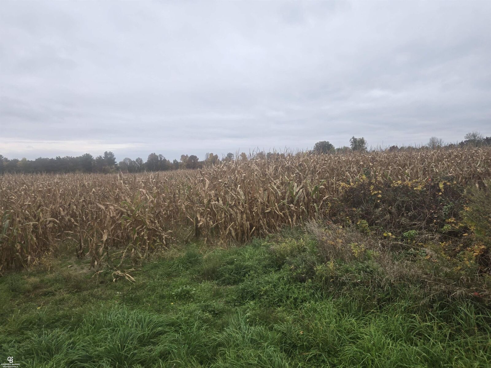 Property Photo: 00 Brown Vl Road MI 48006