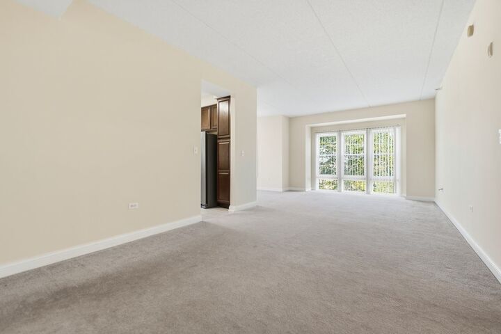 Property Photo: 101 Pointe Drive 203 IL 60062