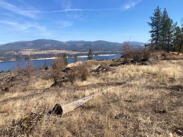 Property Photo: Xx Grand Louis Rd WA 99138