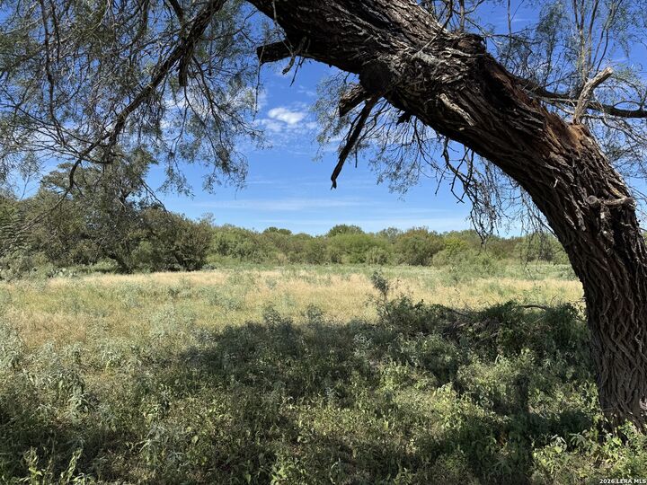 Property Photo: 600 Rio St TX 78801