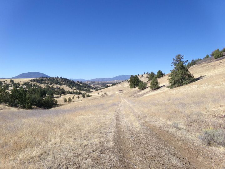 Property Photo:  10015 Buck Lane  CA 96044-0000 