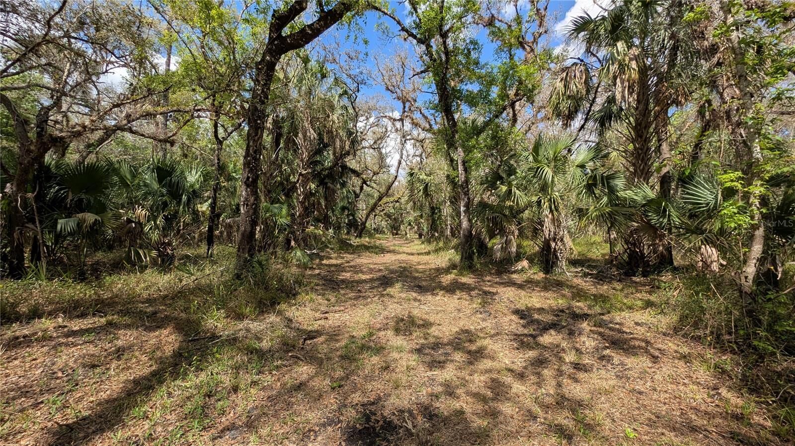 Property Photo:  Gillette Road  FL 33890 