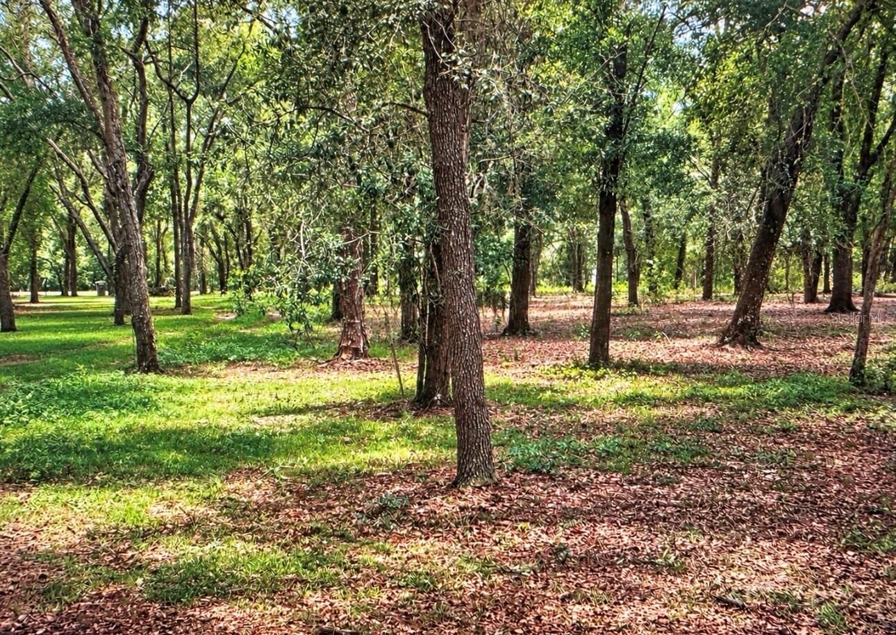 Property Photo: Rolling Ares Road FL 32159