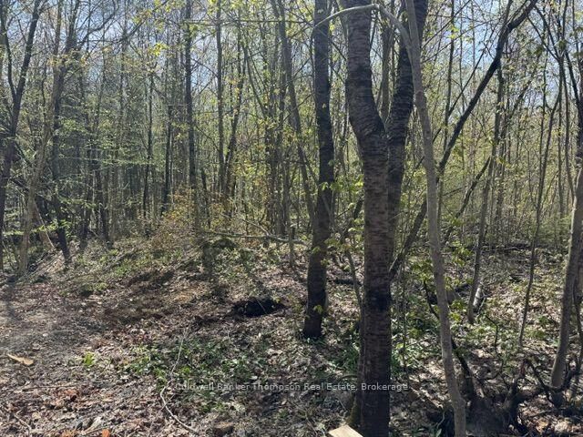 Property Photo:  0 Mag View Drive  ON P0A 1C0 