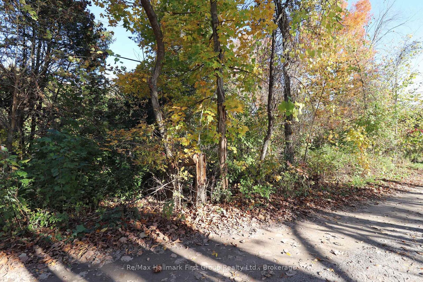 Property Photo:  Lt 16 Sunsmile Lane  ON K0K 3J0 