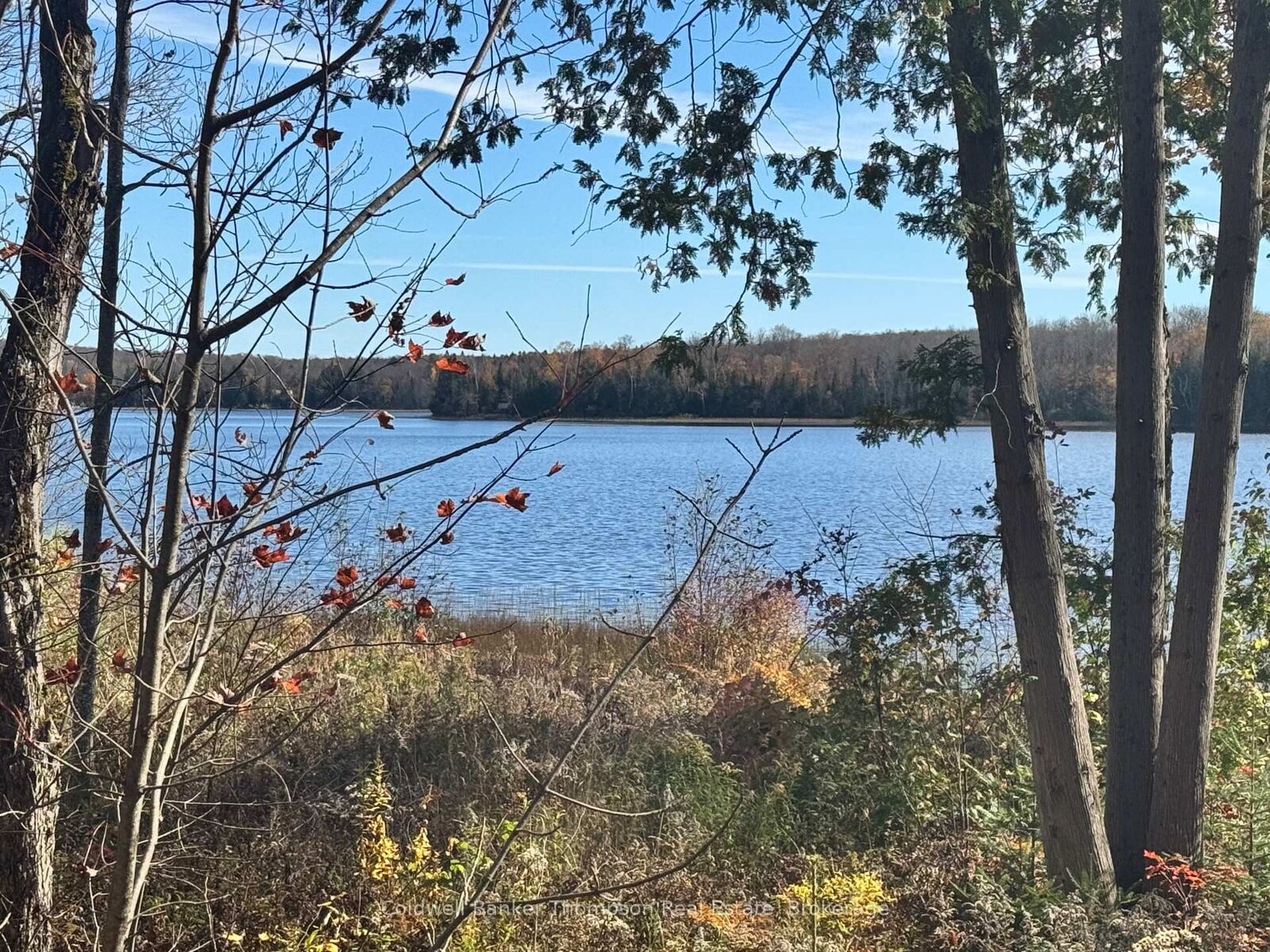 Property Photo:  425 Bartlett Lake Road  ON P0A 1C0 
