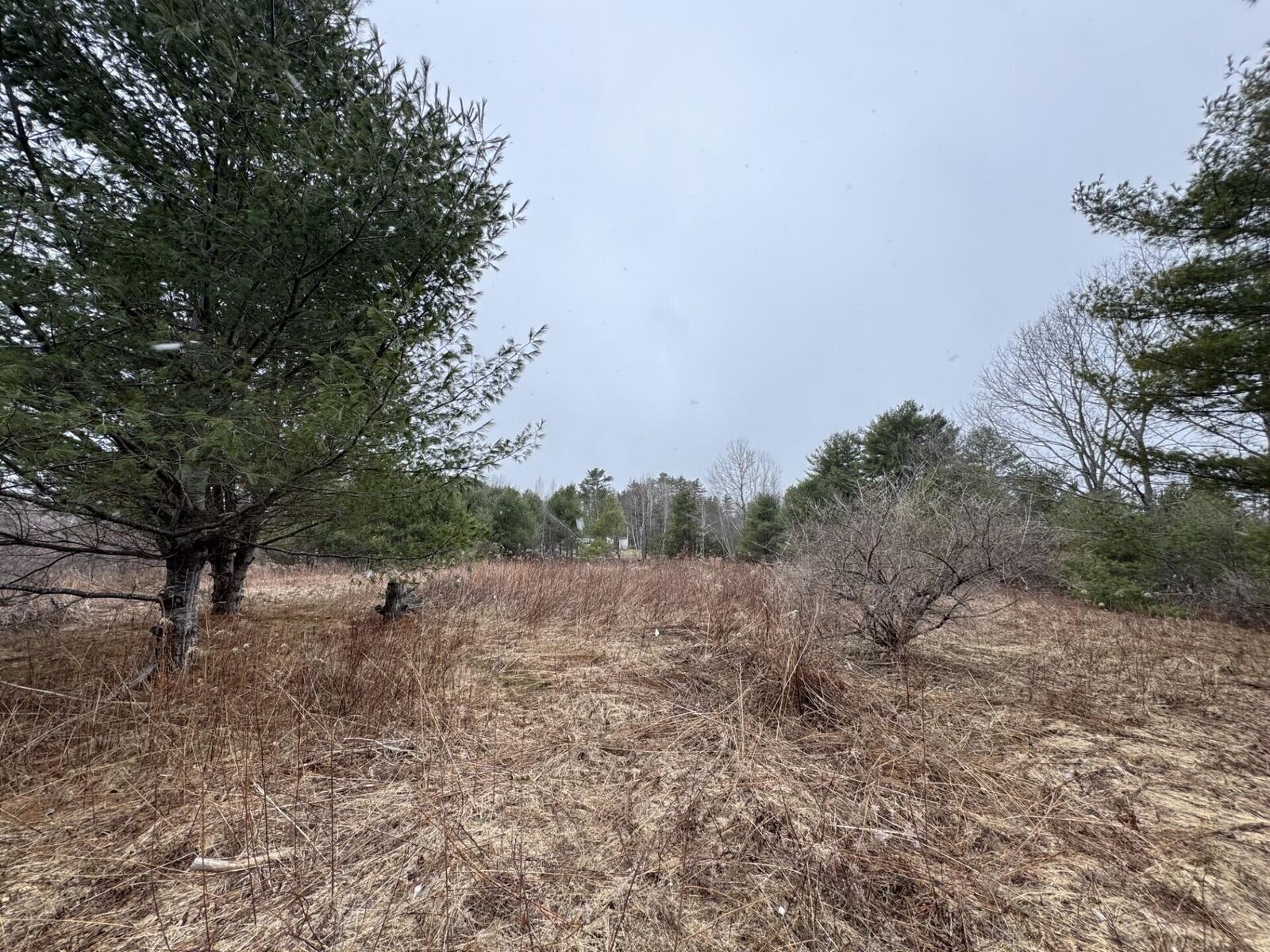 Property Photo:  Lot # Builder Lane Flat  ME 04222 