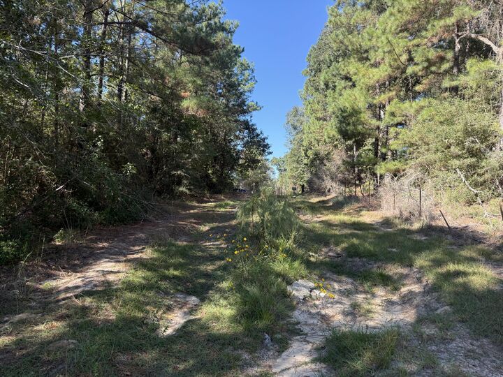 Property Photo: 911 Bears Rd LA 70634
