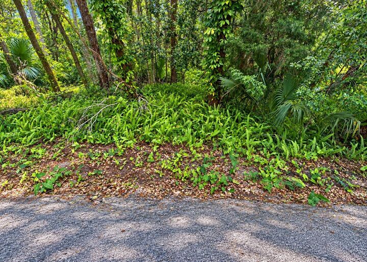 Property Photo: 0 Olive Street FL 34601