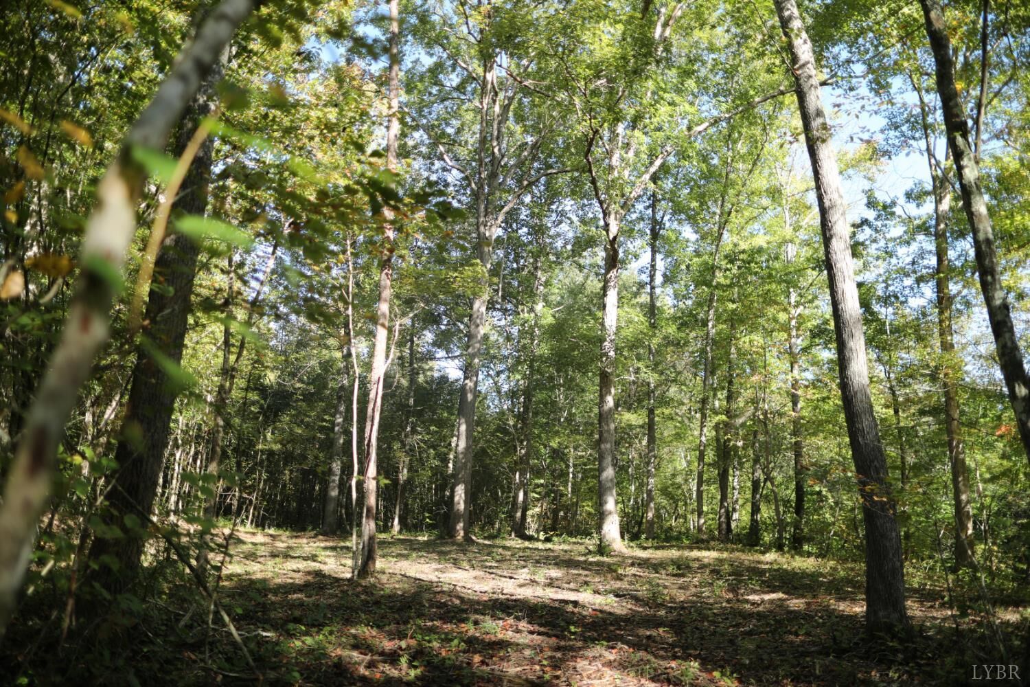 Property Photo:  0 Hollywood Road  VA 24522 