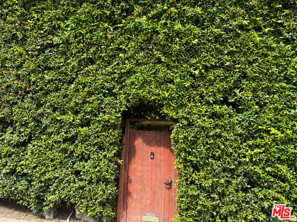 Property Photo:  5742 La Mirada Ave  CA 90038 