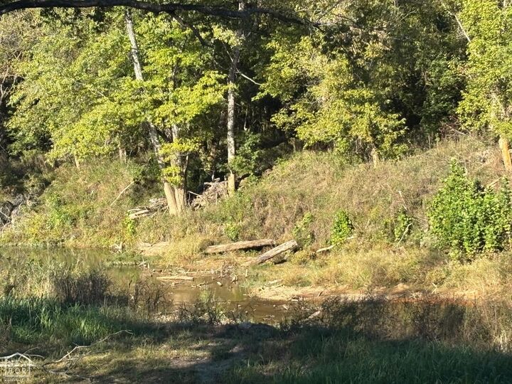 Property Photo:  115 Hwy  AR 72466 