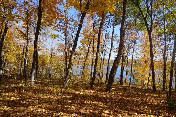 Property Photo:  206 Wild Cherry Drive NE  MN 56633 