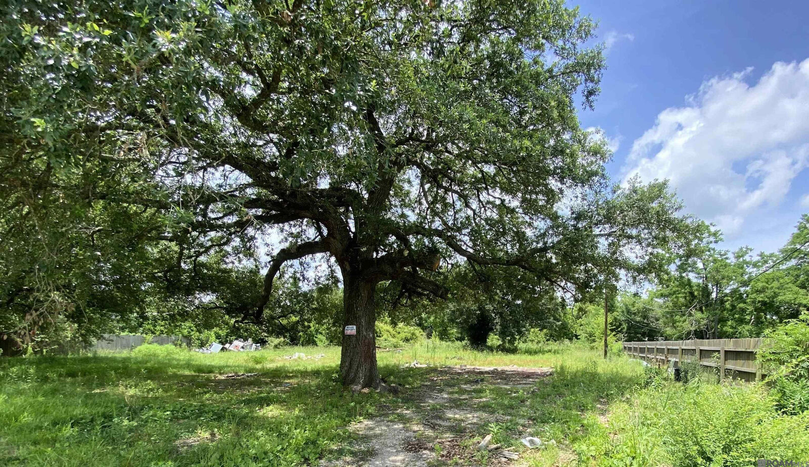 Property Photo:  15041 Sweet Pecan Ave  LA 70769 