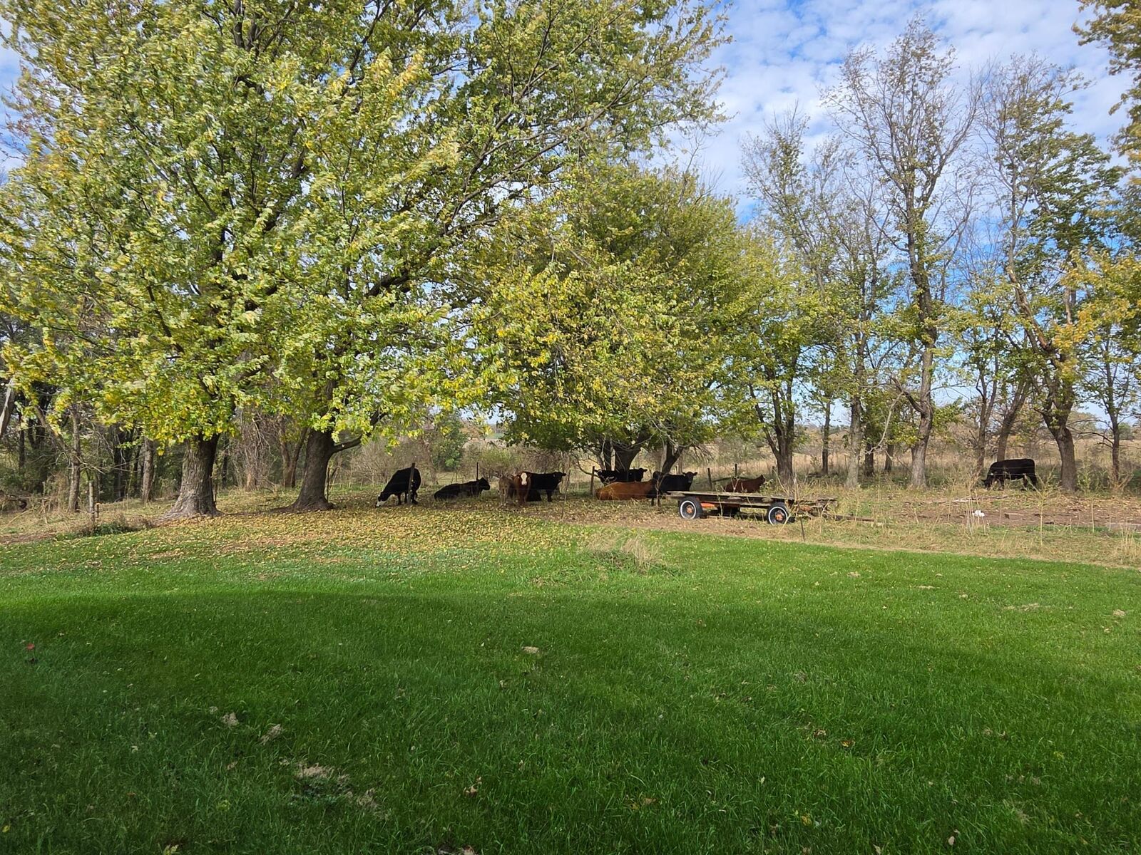 Property Photo:  3321 430th Street  MN 55053 