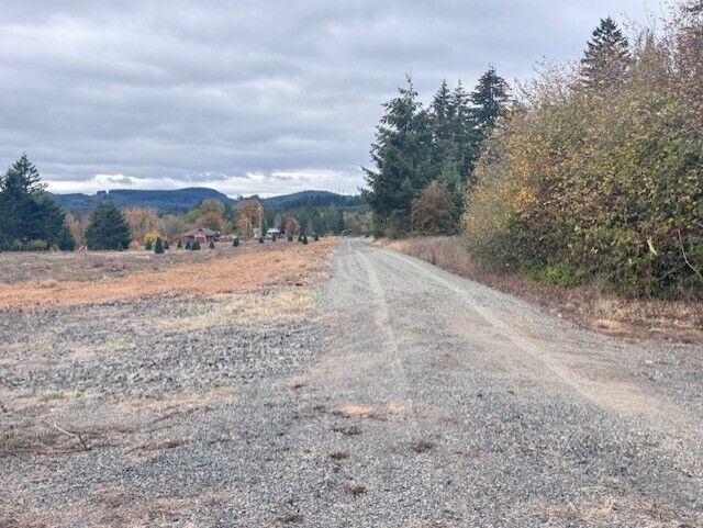 Property Photo:  0  Tennessee Road Lot 5  WA 98596 