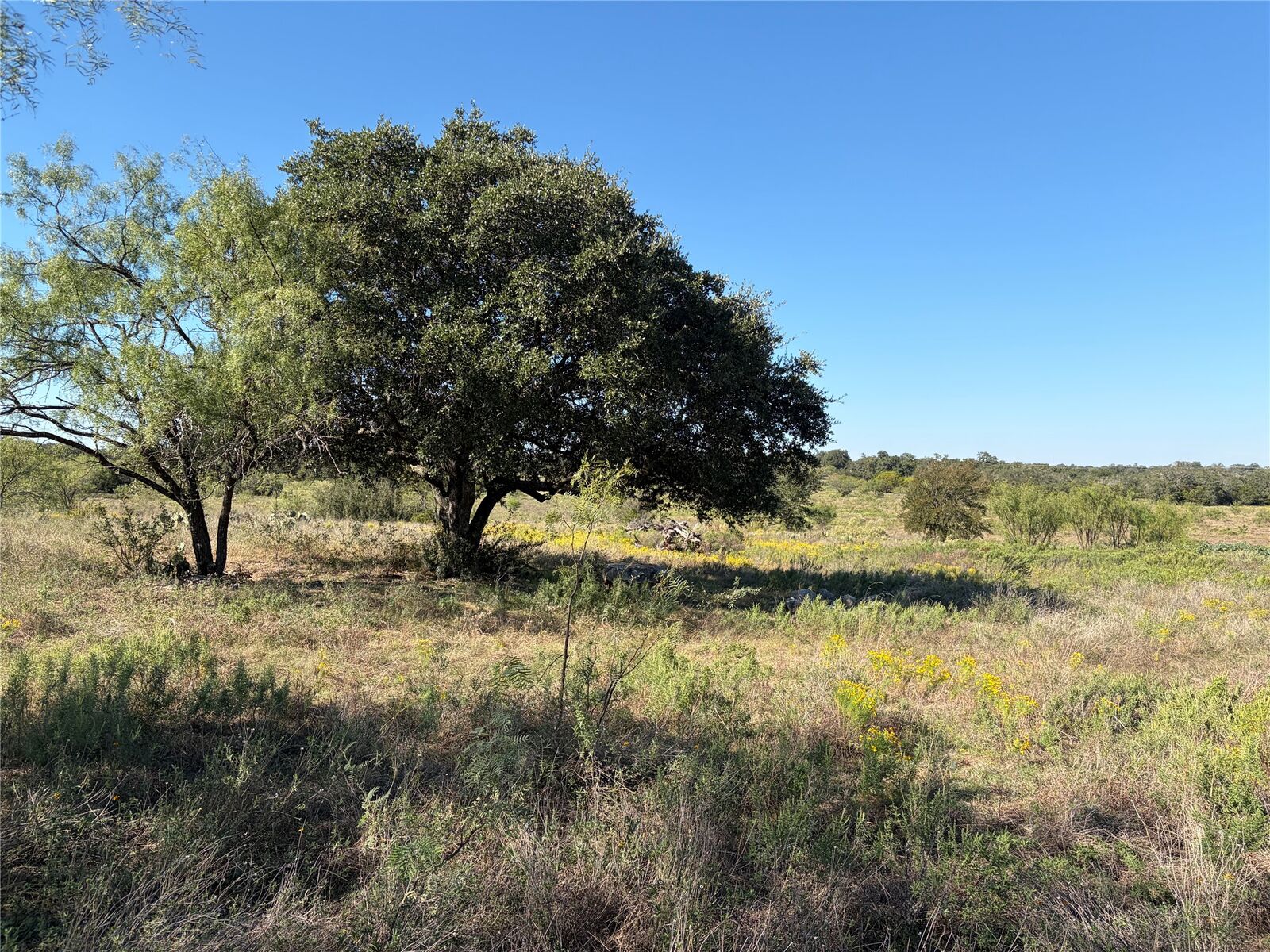 Property Photo:  2965 Old Marble Falls Road  TX 78663 