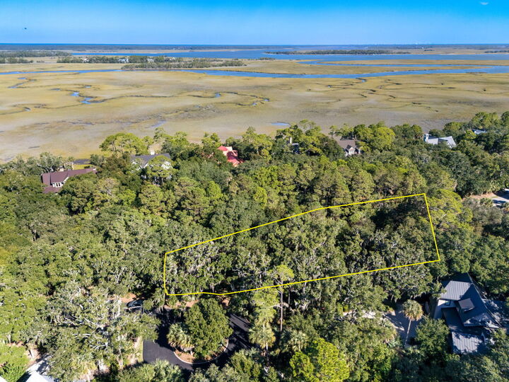 Property Photo:  421 Sweetspire Lane  SC 29455 