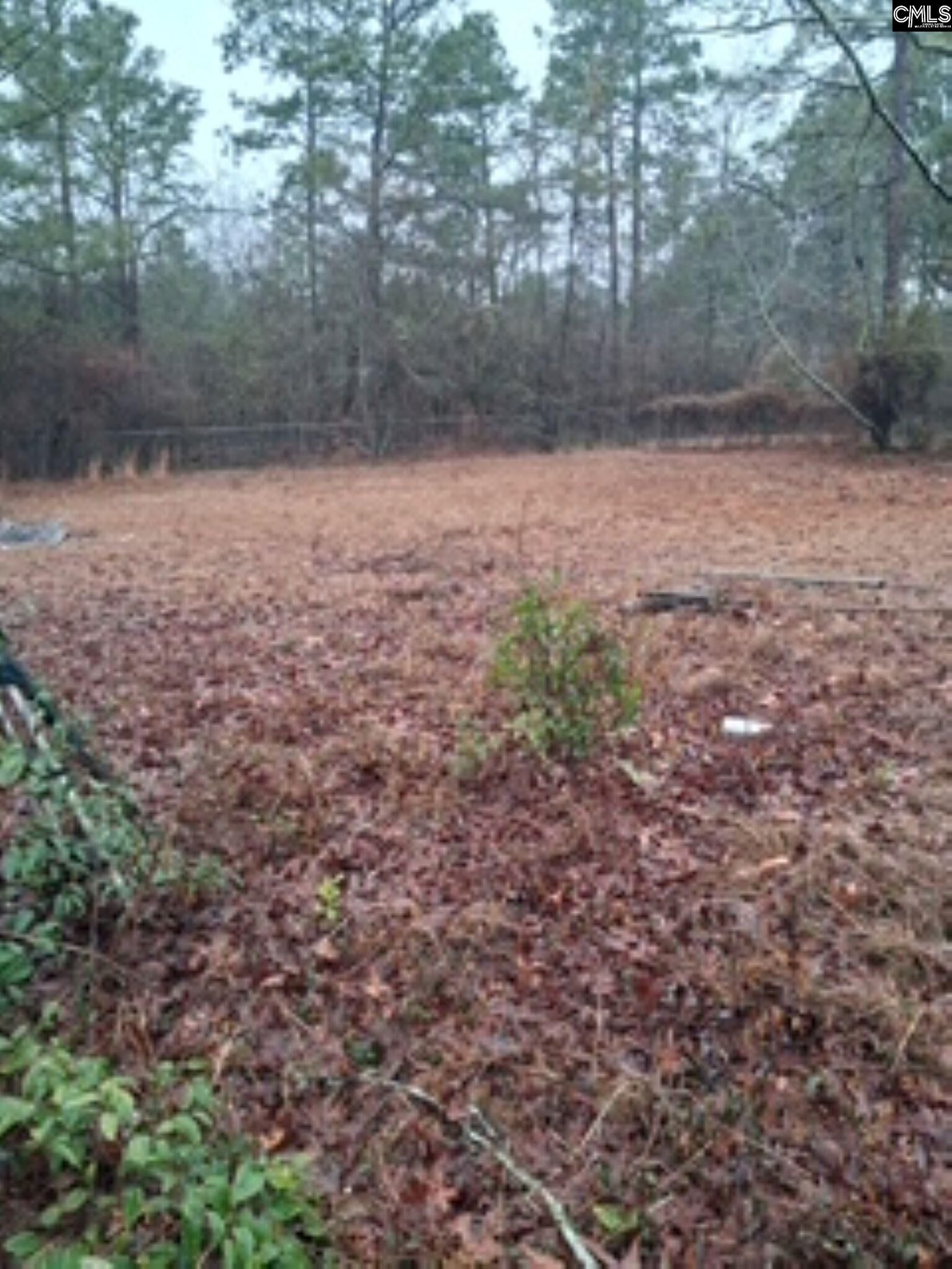 Property Photo:  114 Burnt Pine  SC 29070 