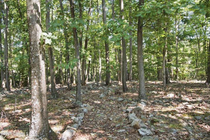 Property Photo:  Parcel 2 Bergey Road  PA 17842 