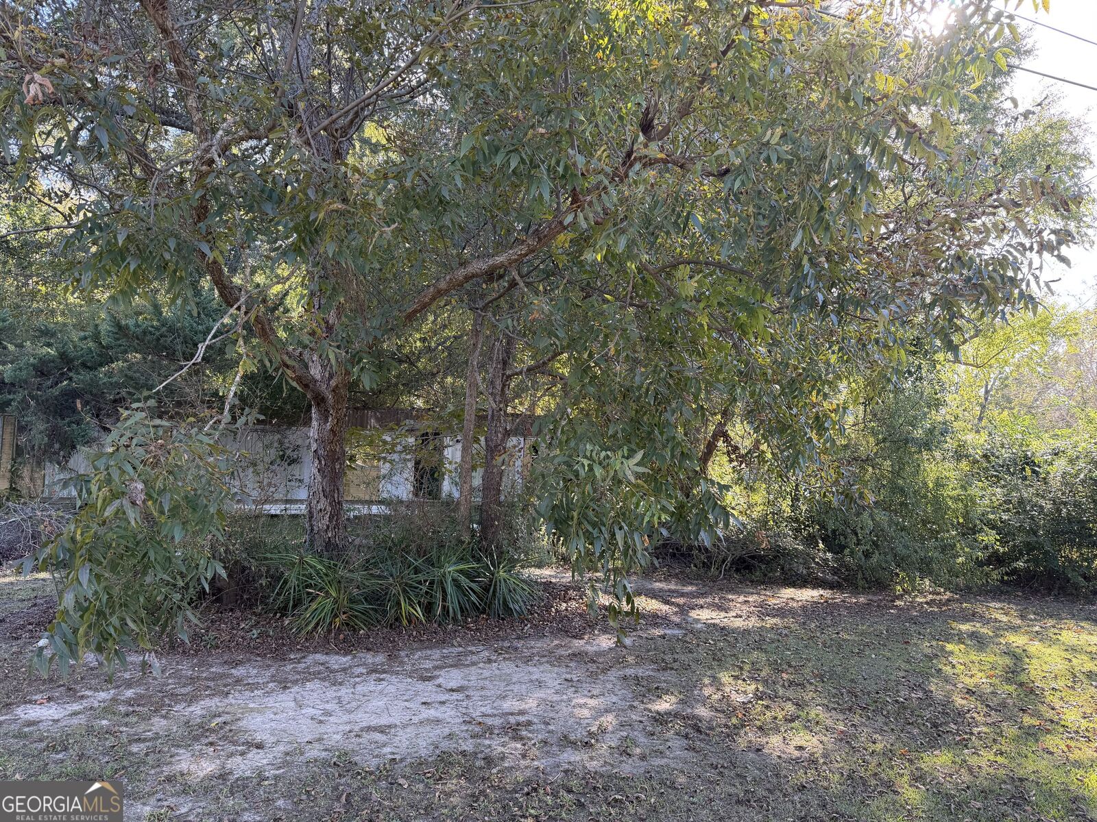 Property Photo:  111 Little Farm Lane  GA 31047 