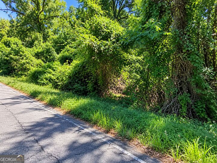 Property Photo:  5754 Hartley Bridge Road  GA 31216 