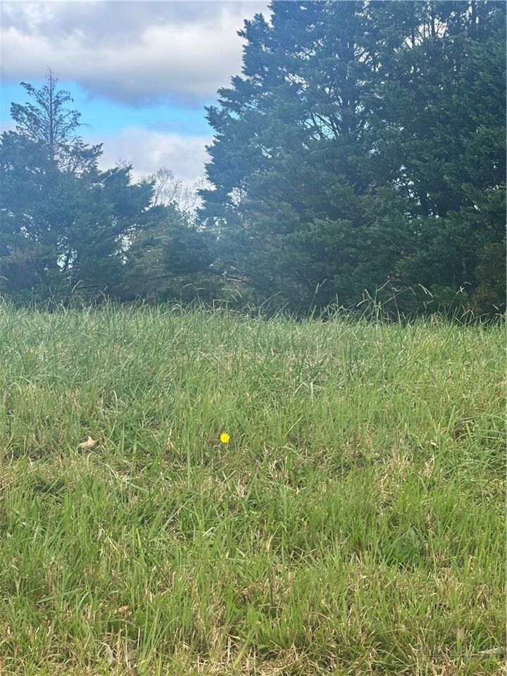 Property Photo:  Lot 107 Parson Lane  NC 28659 