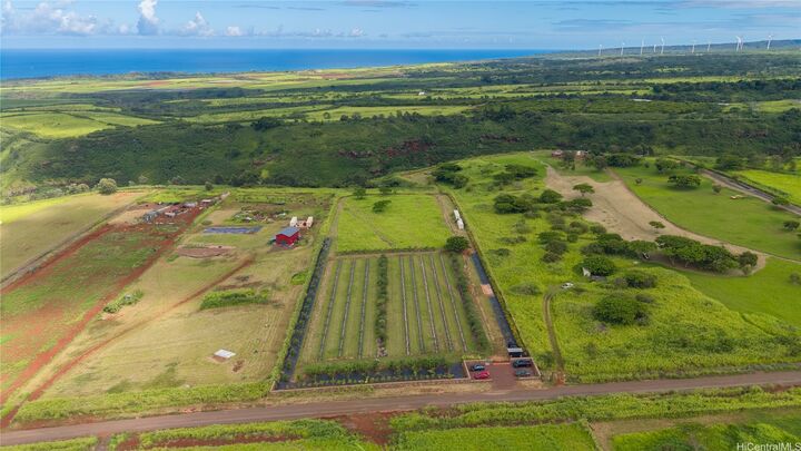 Property Photo: 64-486 Kamehameha Highway 15B HI 96712