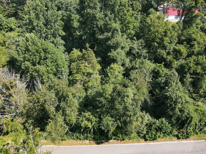 Property Photo: Lot 779 Scenic Trail Road KY 42519