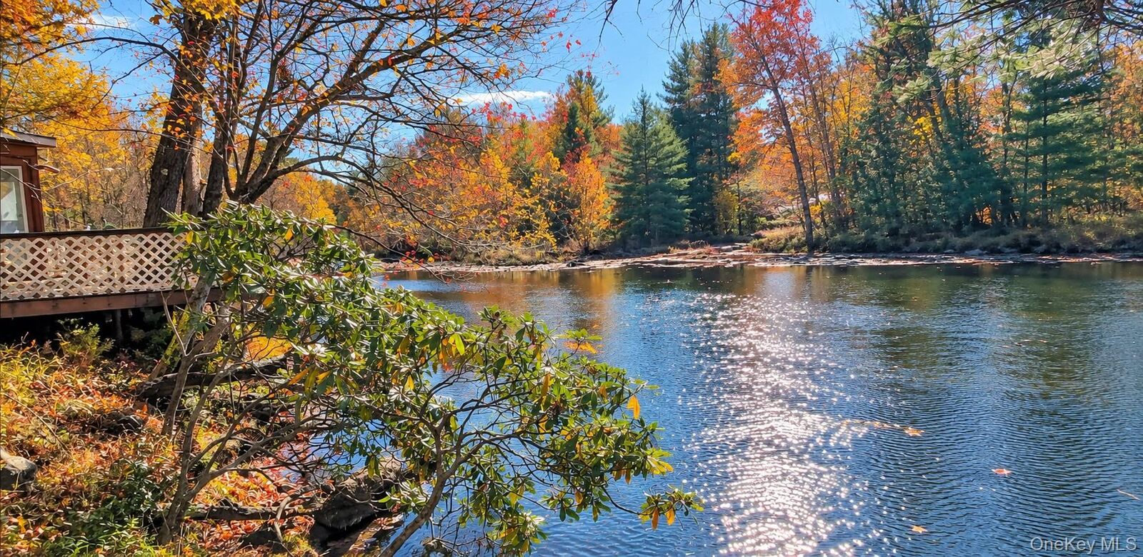 Property Photo:  651 Hasbrouck Road  NY 12788 
