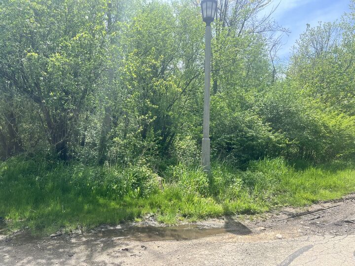 Property Photo: 11665 Orchard Road IL 60480