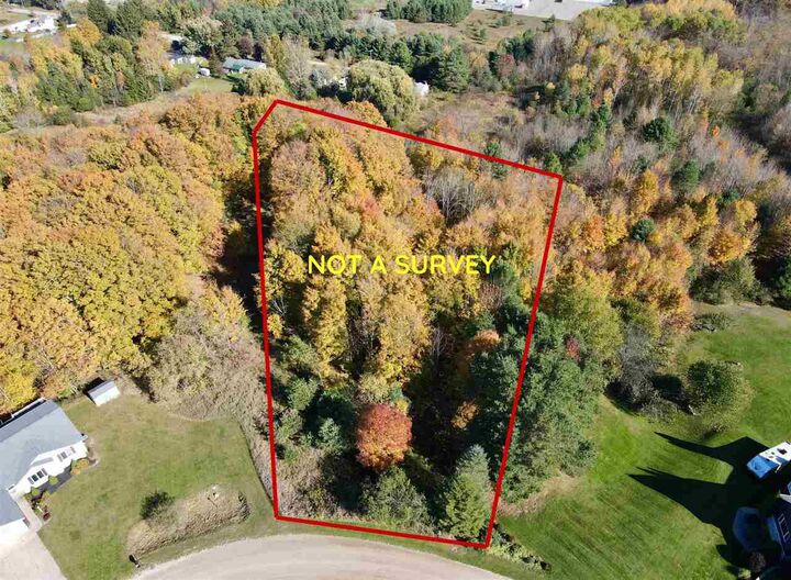 Property Photo:  Tbd Homestead  MI 49727 