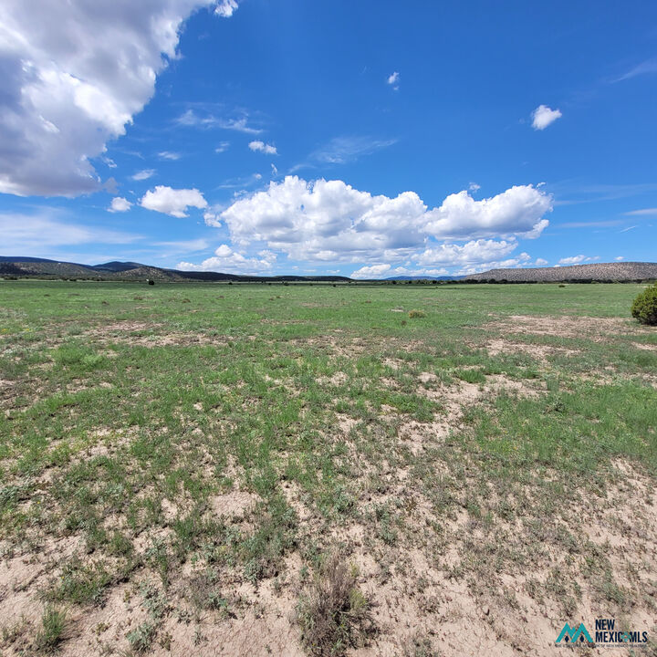 Property Photo: 17 Frontier - Lot 17 Trl 17 NM 87821