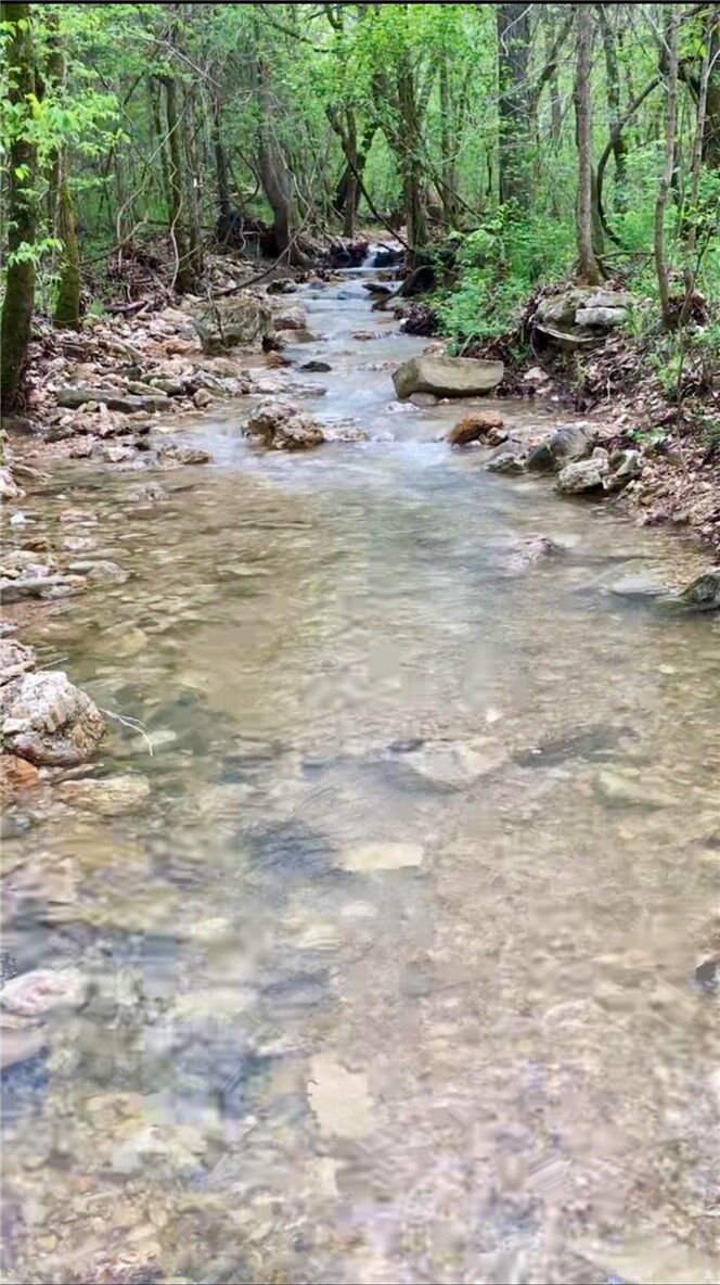 Property Photo:  5978 N Hwy 23  AR 72631 