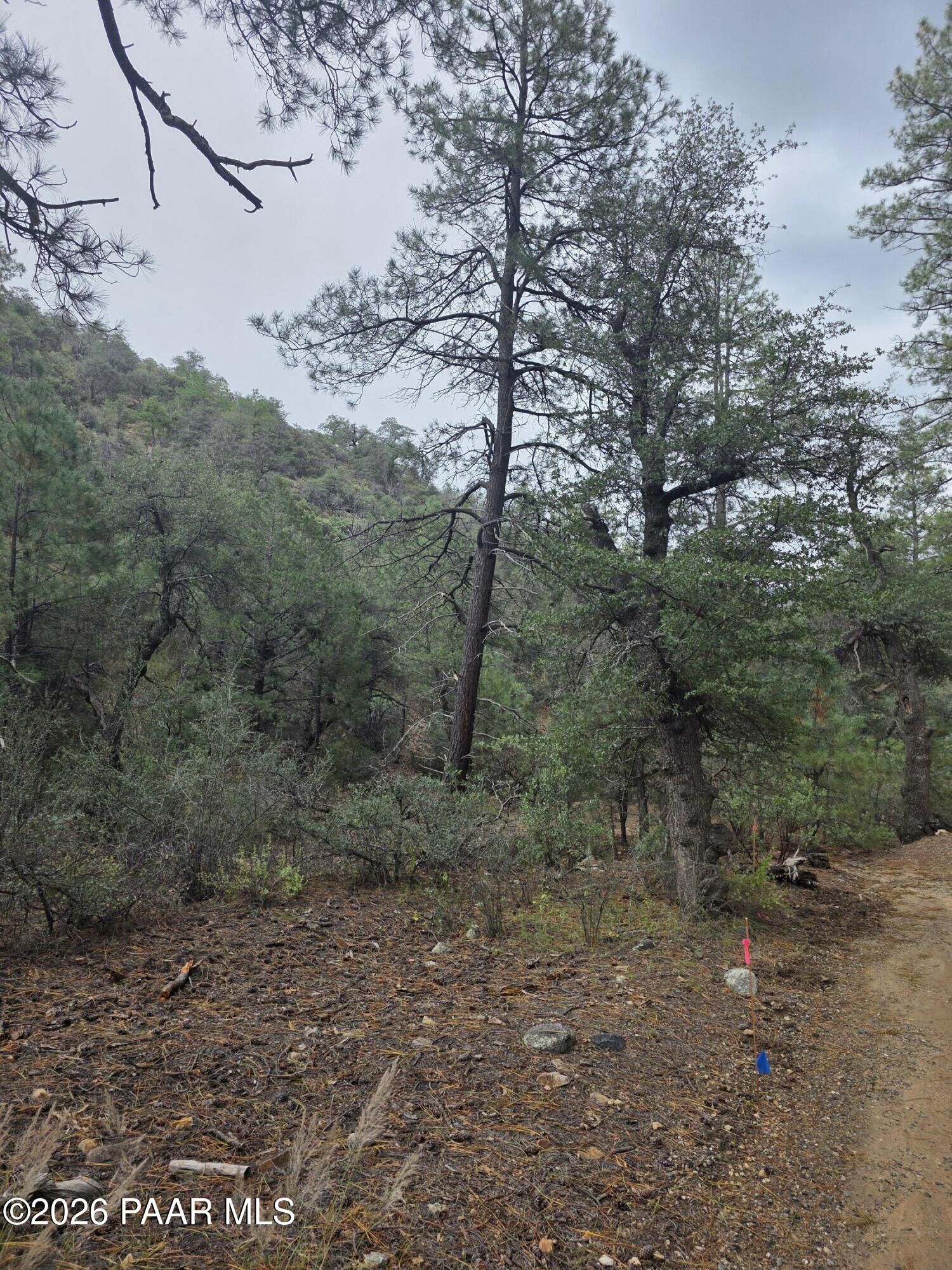 Property Photo:  3010 W Fs73  AZ 86303 