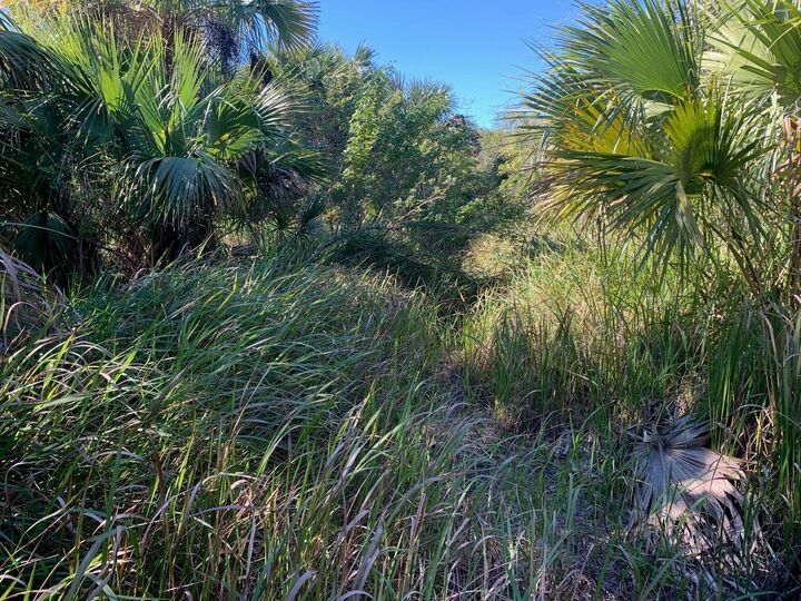 Property Photo: 1767 Drake Avenue SW FL 32908