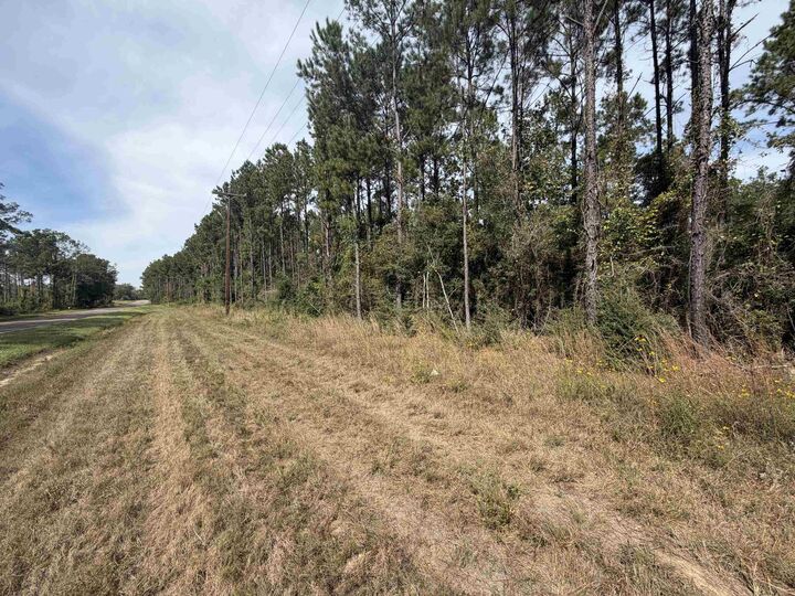 Property Photo:  0 Fm 252  TX 75956 