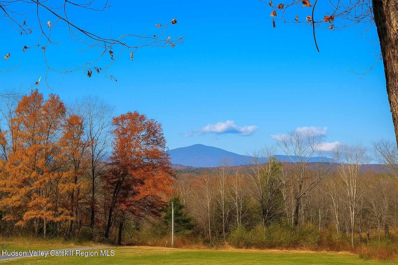 Property Photo: 59 Aqueduct NY 12440