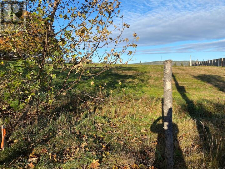 Property Photo:  126 Bay Bulls Road  NL A1G 1A7 