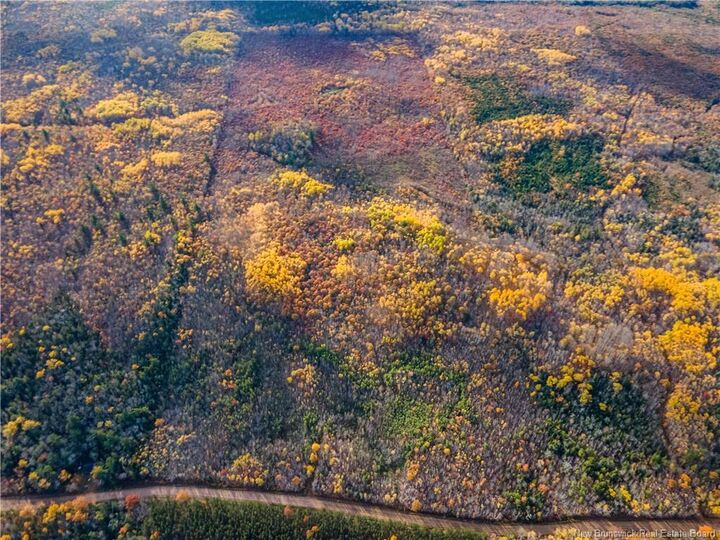 Property Photo:  Lot 2 South Canaan Road  NB E4Z 3R7 