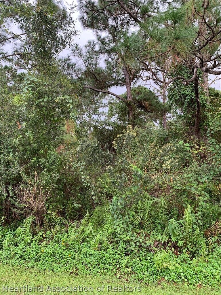 Property Photo:  1011 Burnett Street  FL 33852 